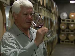  الولايات_المتحدة:  كاليفورنيا:  مقاطعة نابا:  
 
 Napa Wine Tour